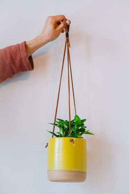 Medium yellow hanging planter with plant