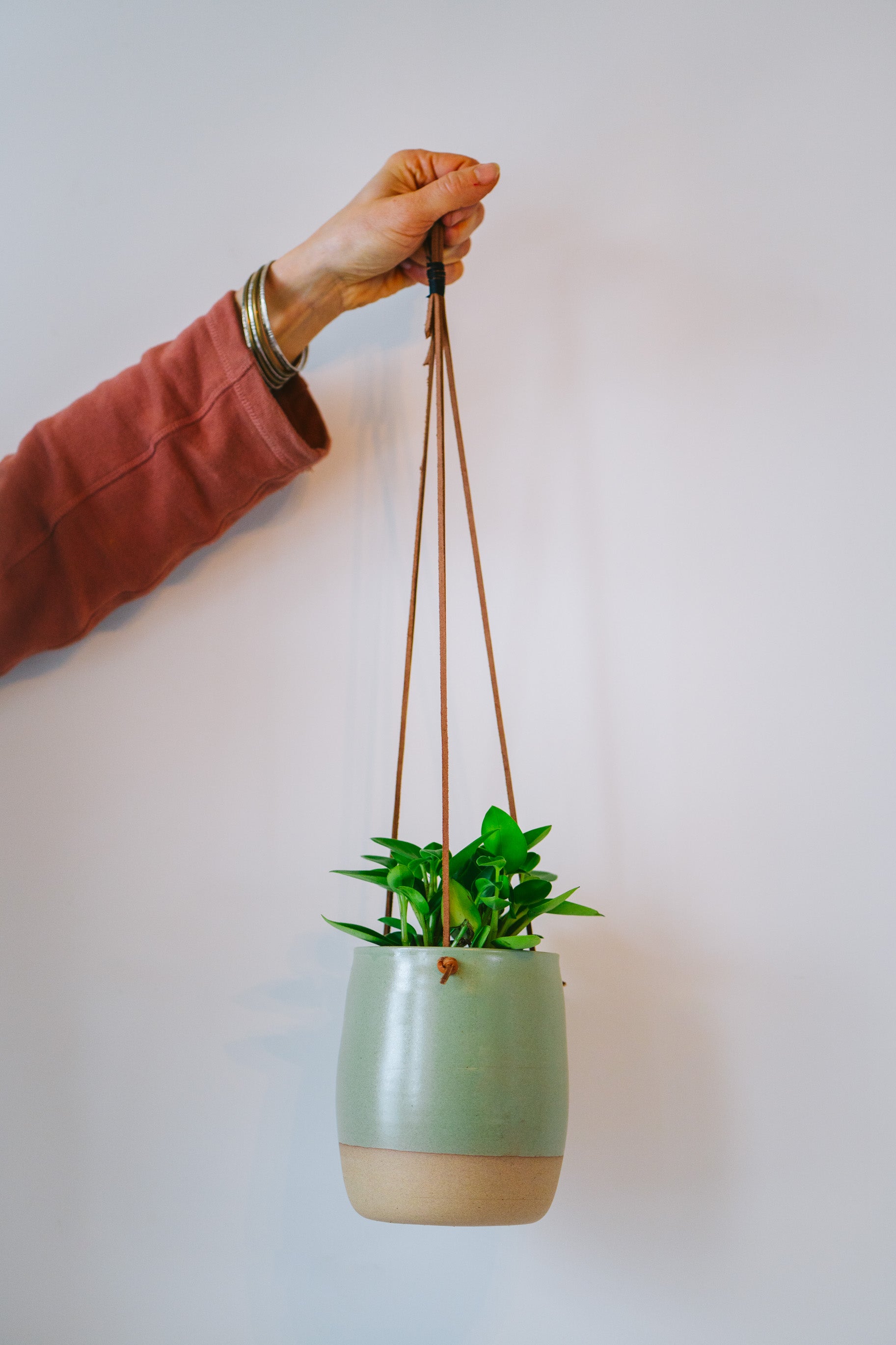 Medium avocado hanging planter with plant