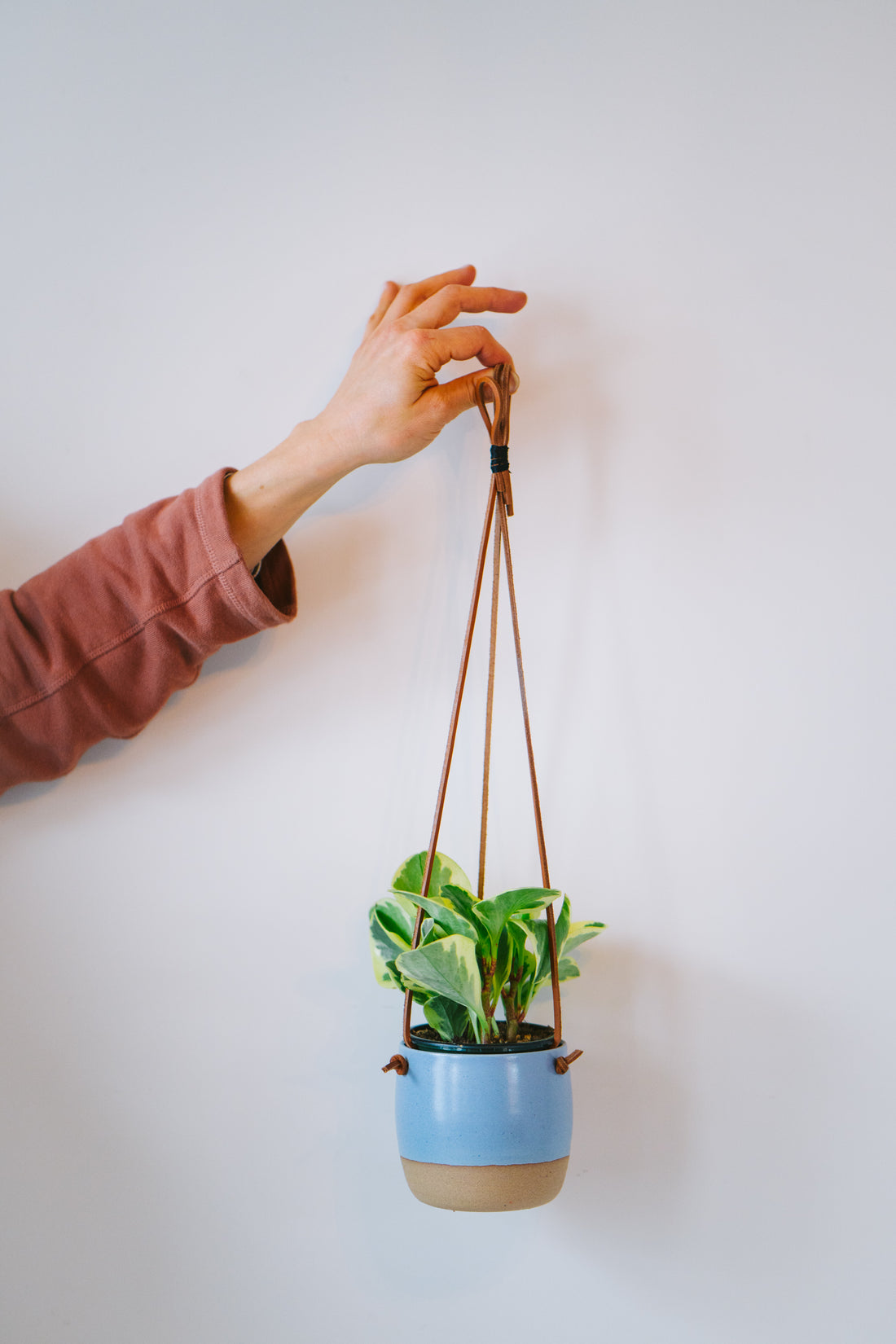 Small hanging planter in lavender