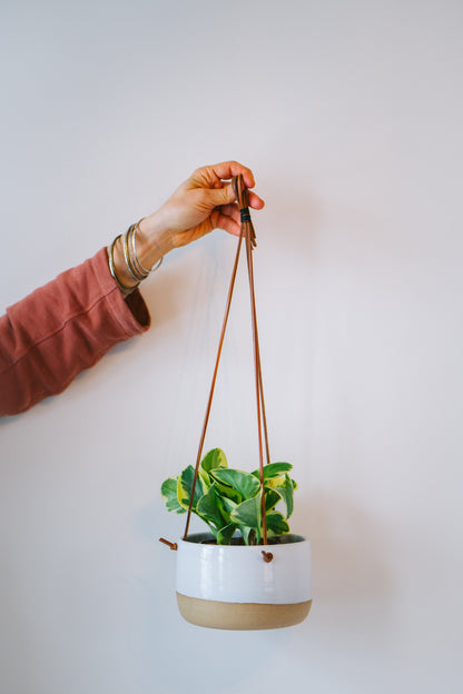 Wide hanging planter with plant in white