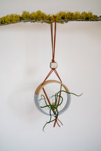 Load image into Gallery viewer, Air planter turquoise hanging from a branch
