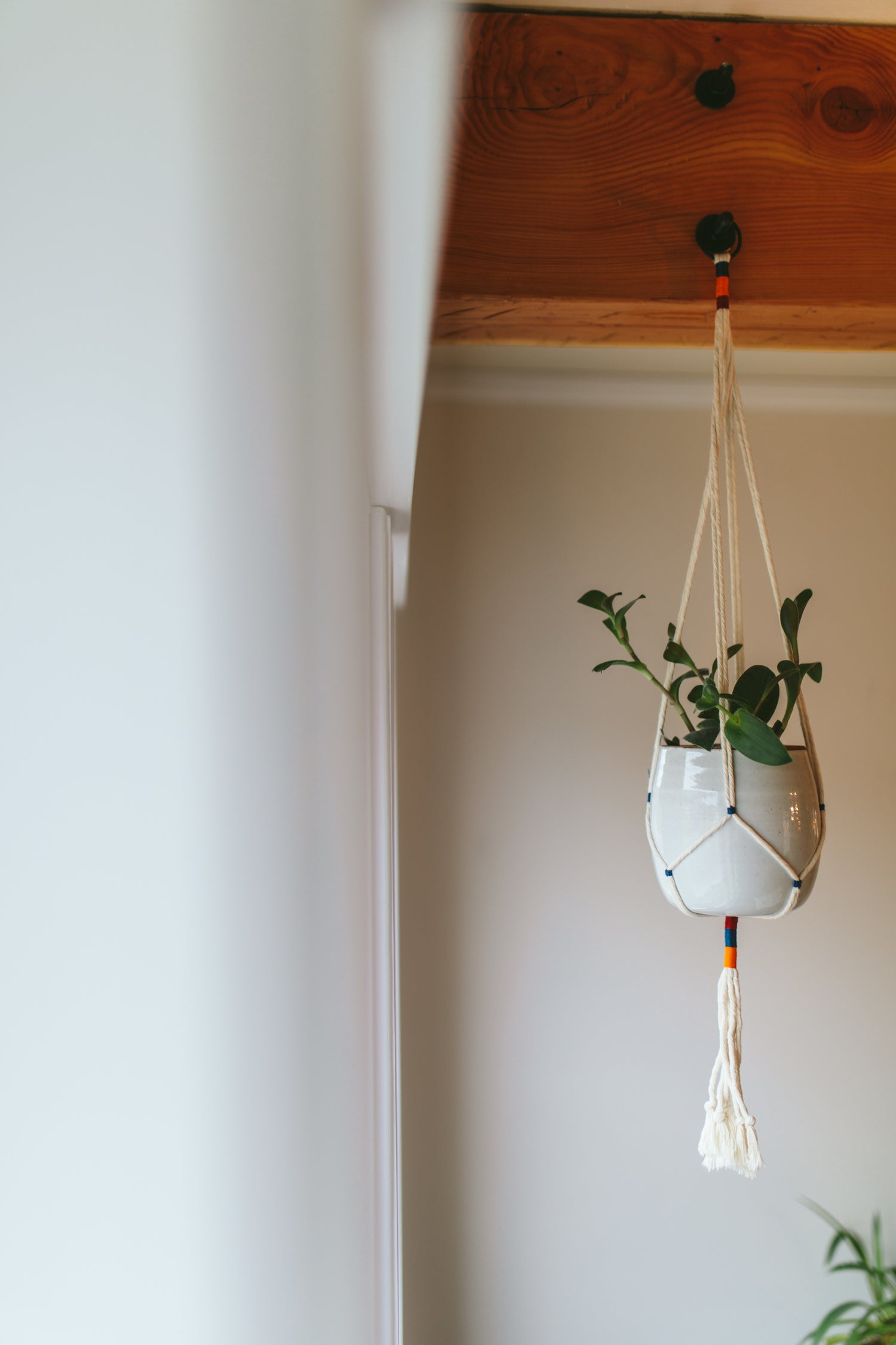 Colorful knots hanging macramé planter with white pot