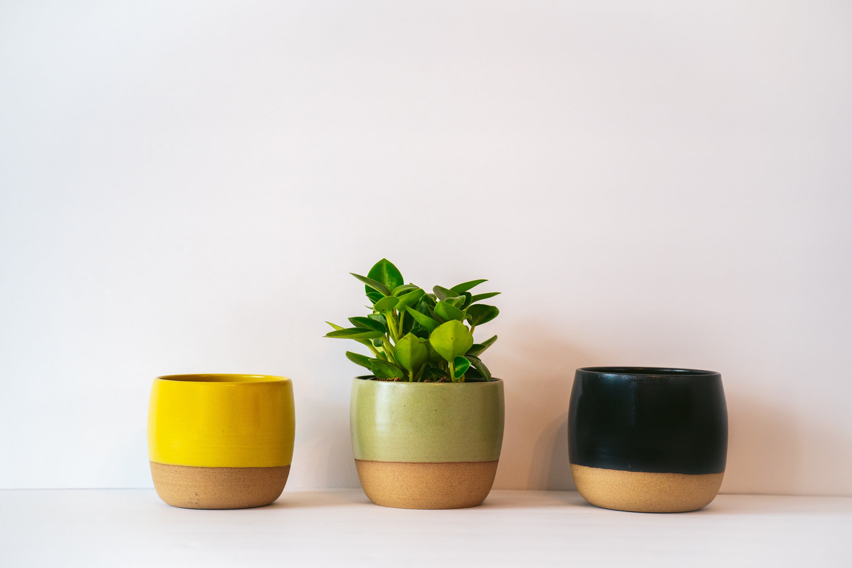 Small table planter in yellow, avocado and black