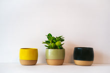 Load image into Gallery viewer, Small table planter in yellow, avocado and black
